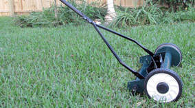 16" inch lifetime reel mower